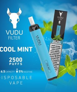 Cool Mint 2500 by Vudu