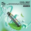 Cool Mint 2500 by Tugboat XXL